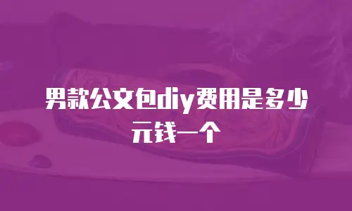 男款公文包diy费用是多少元钱一个
