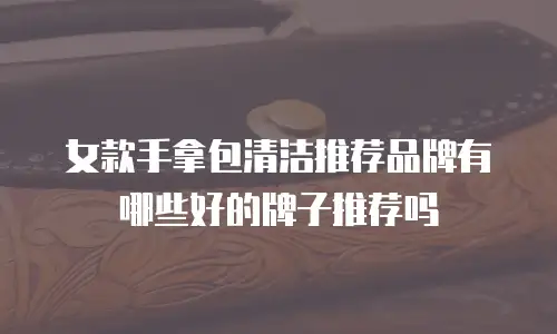 女款手拿包清洁推荐品牌有哪些好的牌子推荐吗