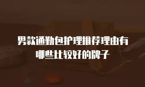 男款通勤包护理推荐理由有哪些比较好的牌子