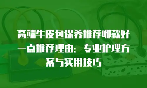 高端牛皮包保养推荐哪款好一点推荐理由：专业护理方案与实用技巧