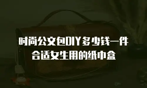 时尚公文包DIY多少钱一件合适女生用的纸巾盒