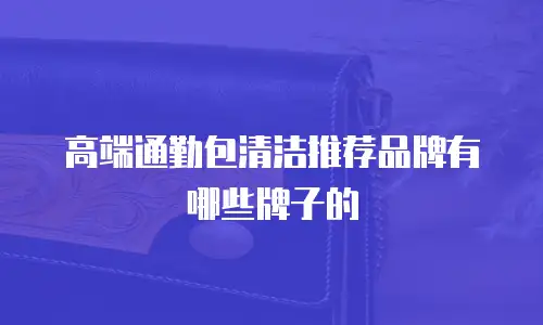 高端通勤包清洁推荐品牌有哪些牌子的