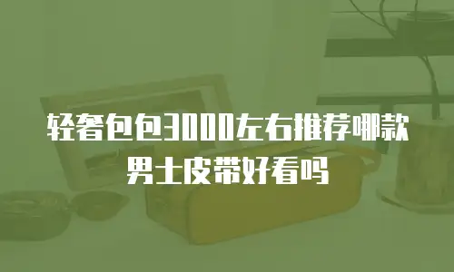 轻奢包包3000左右推荐哪款男士皮带好看吗
