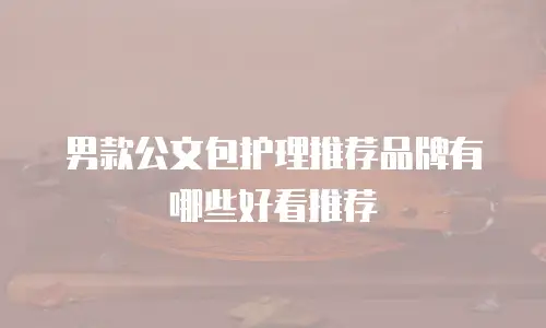 男款公文包护理推荐品牌有哪些好看推荐