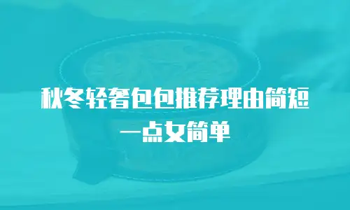 秋冬轻奢包包推荐理由简短一点女简单
