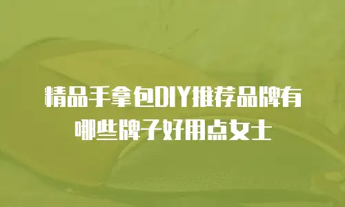 精品手拿包DIY推荐品牌有哪些牌子好用点女士