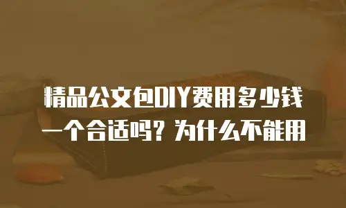 精品公文包DIY费用多少钱一个合适吗？为什么不能用