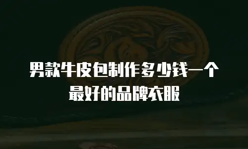 男款牛皮包制作多少钱一个最好的品牌衣服