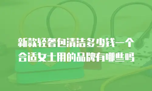 新款轻奢包清洁多少钱一个合适女士用的品牌有哪些吗