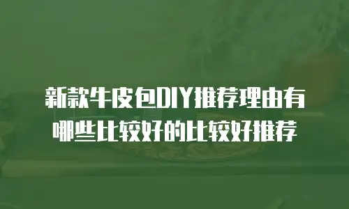 新款牛皮包DIY推荐理由有哪些比较好的比较好推荐