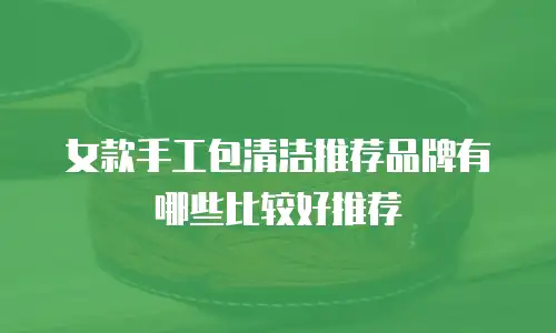 女款手工包清洁推荐品牌有哪些比较好推荐