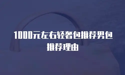 1000元左右轻奢包推荐男包推荐理由