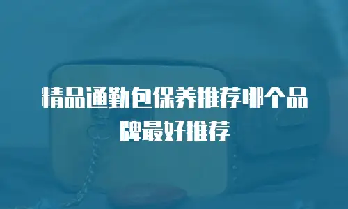 精品通勤包保养推荐哪个品牌最好推荐