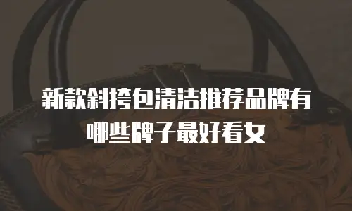 新款斜挎包清洁推荐品牌有哪些牌子最好看女