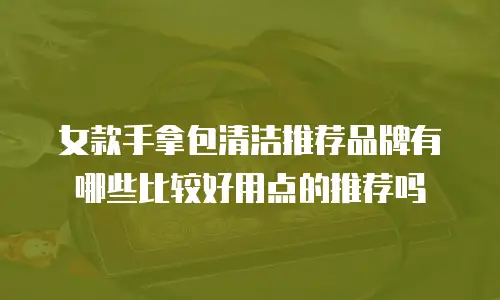 女款手拿包清洁推荐品牌有哪些比较好用点的推荐吗
