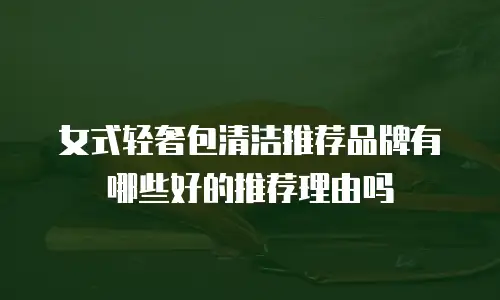 女式轻奢包清洁推荐品牌有哪些好的推荐理由吗