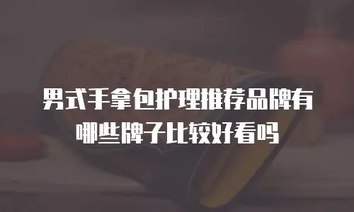 男式手拿包护理推荐品牌有哪些牌子比较好看吗