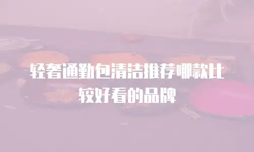 轻奢通勤包清洁推荐哪款比较好看的品牌