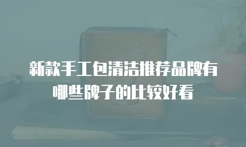 新款手工包清洁推荐品牌有哪些牌子的比较好看