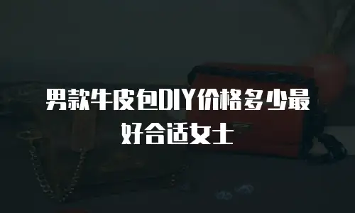 男款牛皮包DIY价格多少最好合适女士
