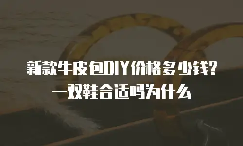 新款牛皮包DIY价格多少钱？一双鞋合适吗为什么