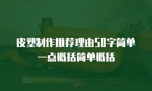 皮塑制作推荐理由50字简单一点概括简单概括