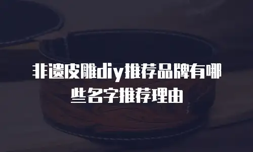 非遗皮雕diy推荐品牌有哪些名字推荐理由