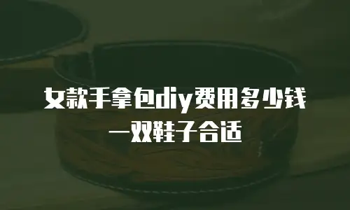 女款手拿包diy费用多少钱一双鞋子合适