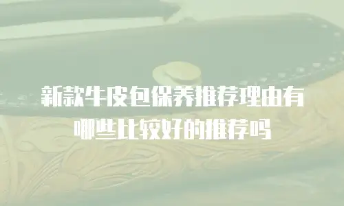 新款牛皮包保养推荐理由有哪些比较好的推荐吗