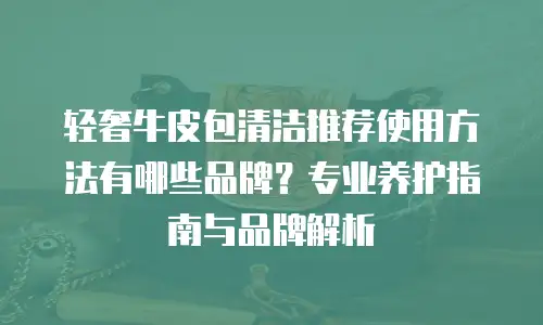 轻奢牛皮包清洁推荐使用方法有哪些品牌？专业养护指南与品牌解析