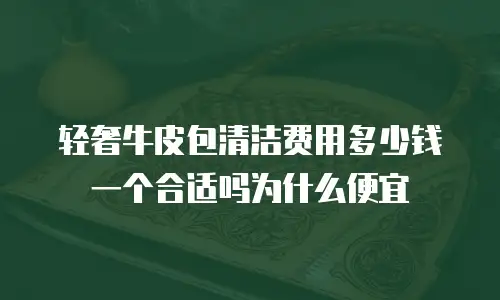 轻奢牛皮包清洁费用多少钱一个合适吗为什么便宜