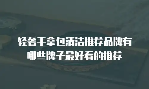 轻奢手拿包清洁推荐品牌有哪些牌子最好看的推荐