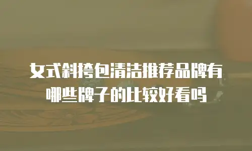 女式斜挎包清洁推荐品牌有哪些牌子的比较好看吗