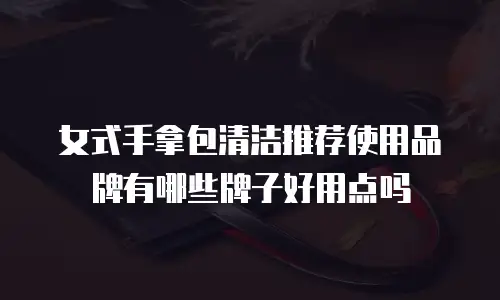 女式手拿包清洁推荐使用品牌有哪些牌子好用点吗
