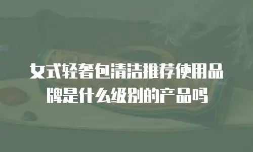 女式轻奢包清洁推荐使用品牌是什么级别的产品吗