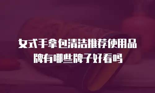 女式手拿包清洁推荐使用品牌有哪些牌子好看吗