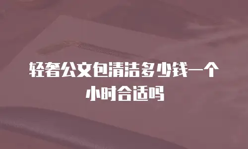 轻奢公文包清洁多少钱一个小时合适吗