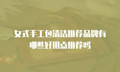 女式手工包清洁推荐品牌有哪些好用点推荐吗