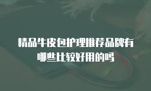 精品牛皮包护理推荐品牌有哪些比较好用的吗
