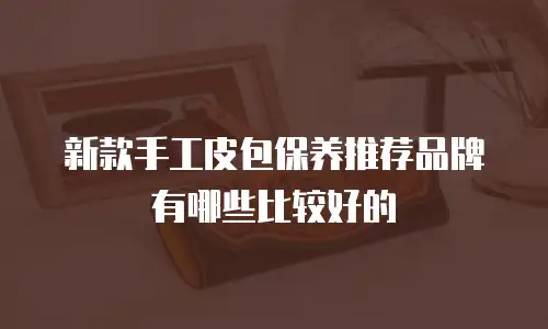 新款手工皮包保养推荐品牌有哪些比较好的