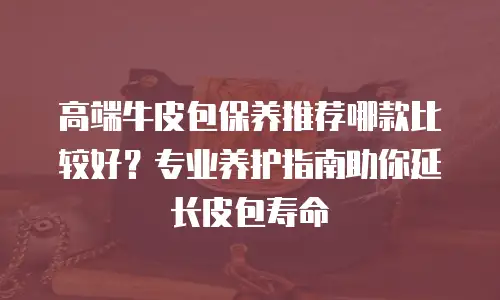 高端牛皮包保养推荐哪款比较好？专业养护指南助你延长皮包寿命