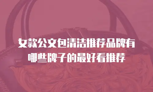 女款公文包清洁推荐品牌有哪些牌子的最好看推荐