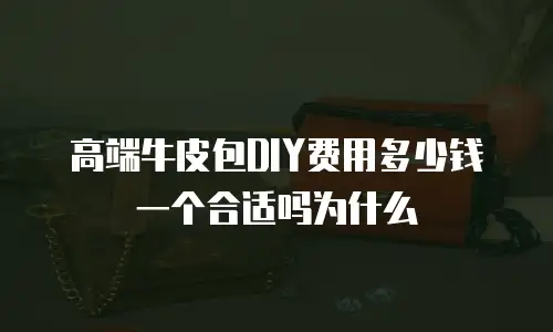 高端牛皮包DIY费用多少钱一个合适吗为什么