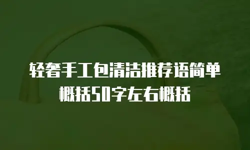 轻奢手工包清洁推荐语简单概括50字左右概括