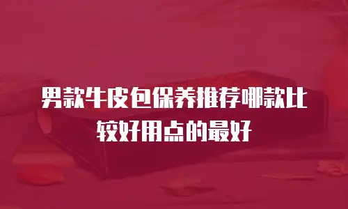 男款牛皮包保养推荐哪款比较好用点的最好