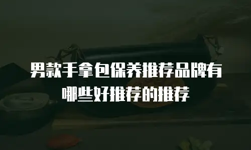 男款手拿包保养推荐品牌有哪些好推荐的推荐