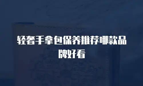 轻奢手拿包保养推荐哪款品牌好看