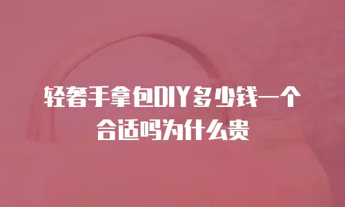 轻奢手拿包DIY多少钱一个合适吗为什么贵