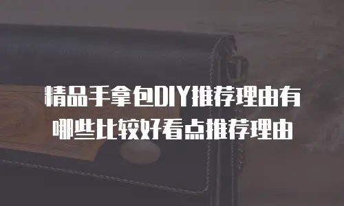 精品手拿包DIY推荐理由有哪些比较好看点推荐理由