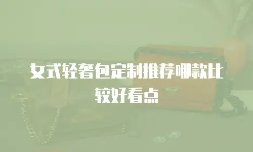 女式轻奢包定制推荐哪款比较好看点